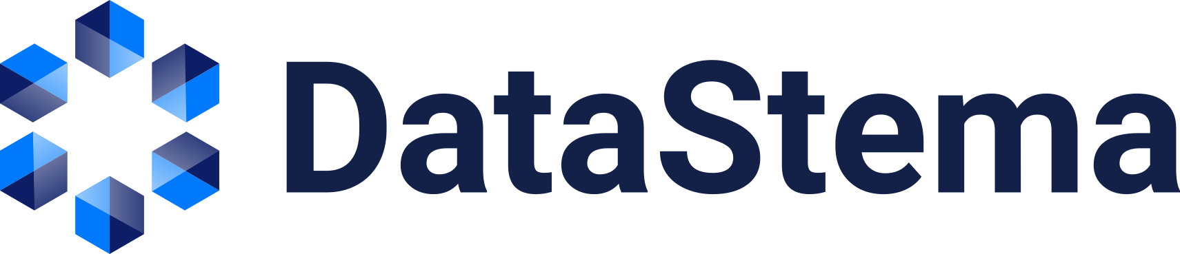 DataStema Logo